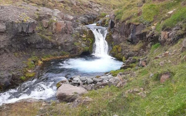 Brúnir