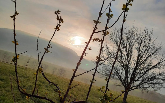 Pension Kreuzinger, 5310 Tiefgraben