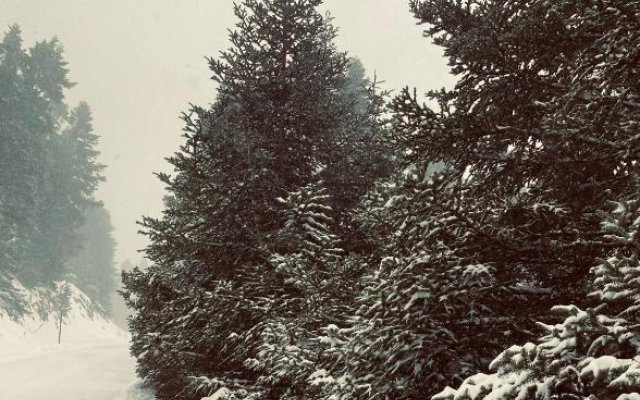 Parnassos Snow Hill Chalet