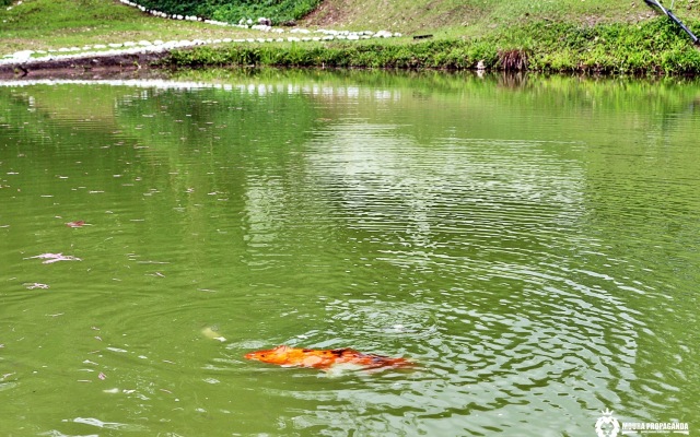 Eco Chalés Luar das Marés