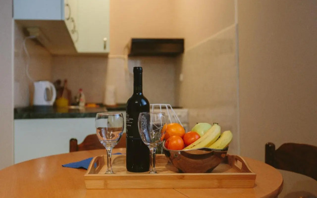 Studio apartman Salopek
