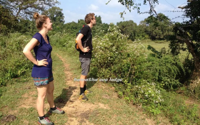 Kamatha Eco Lodge