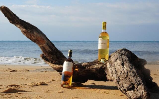 Appartement Capbreton, 4 pièces, 8 personnes - FR-1-239-484