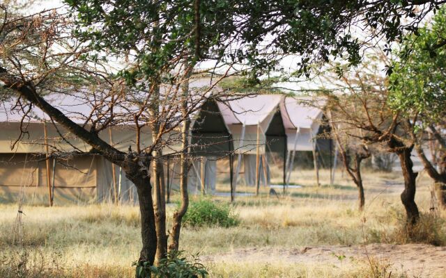 Olengoti Safari Camp - East Africa Camps