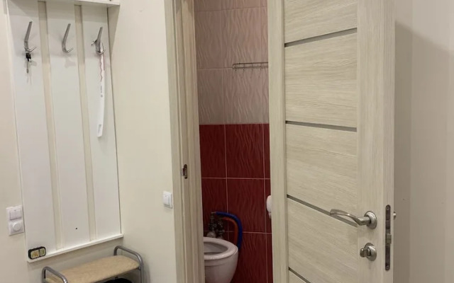 Big appartment near the center