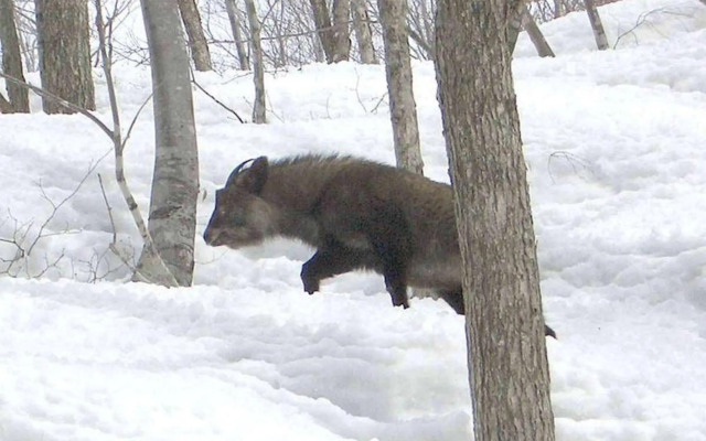 Kitano Tenman Onsen Gakumon No Yu