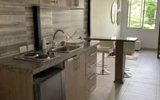 304A-APARTA ESTUDIO DUPLEX MINI EN Granada