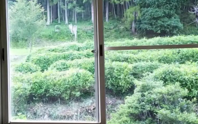 Guesthouse-Lahar- Hostel