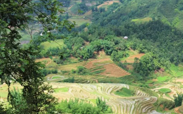 Sapa Cheap Room