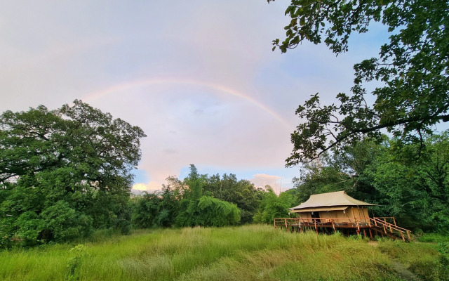 The Untamed Bandhavgarh by TUTC