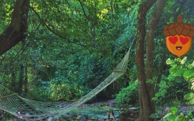 Kirkahvesi Garden - Campsite