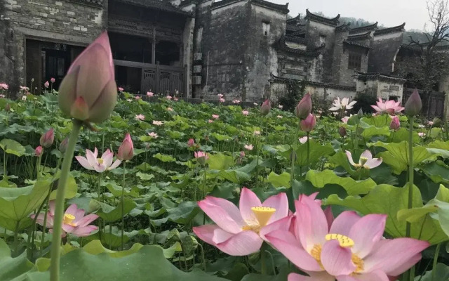 The Eternal Paradise (Former: Jinshengjinshi Boutique Hotel)