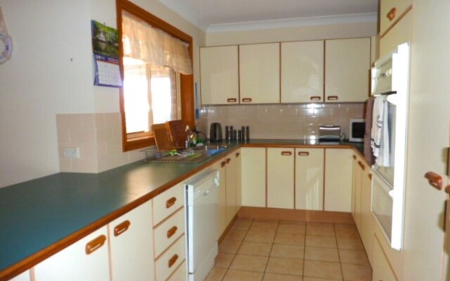 14 Lomandra