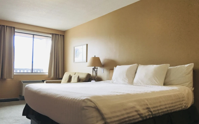 Thunderbird Motor Inn