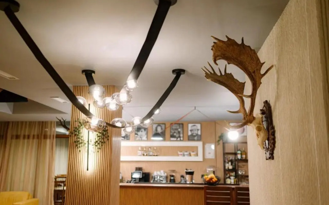 Villa Mansoor & Lodge