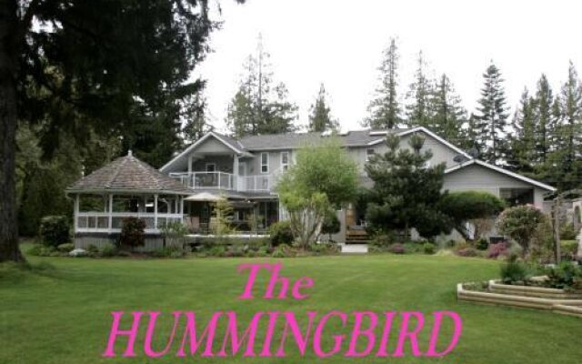Hummingbird Guesthouse & Charters