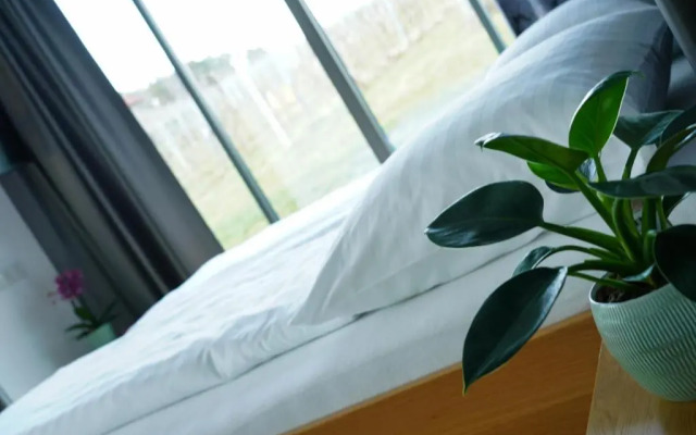 Walters Weinquartier