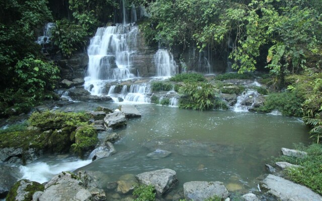 El Jardín Misahualli Lodge