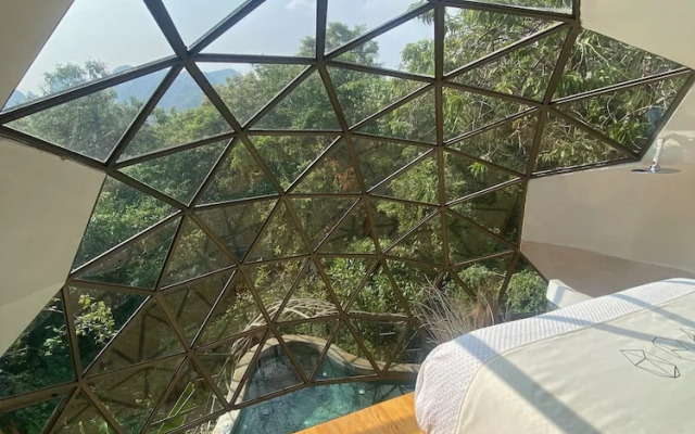 Bosque Geométrico