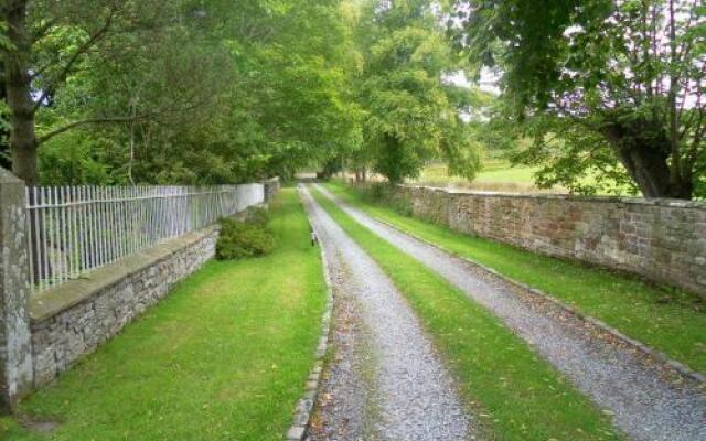 Fiddleback Farm