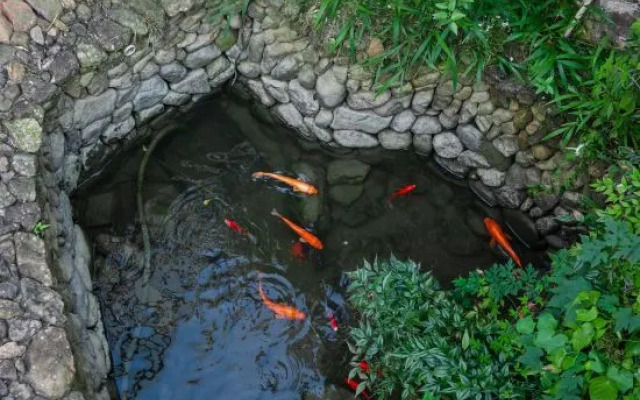 Moganshan Creekside Wood House