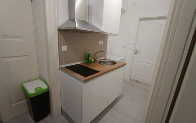 A1 - Spacious apt on the Seafront With Terrace