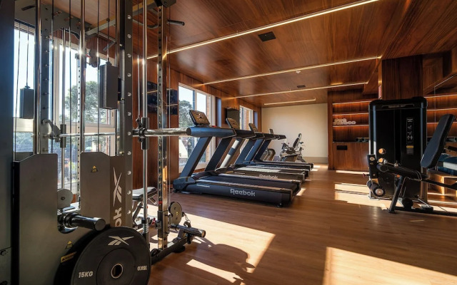 Golden Tulip Canela OFICIAL