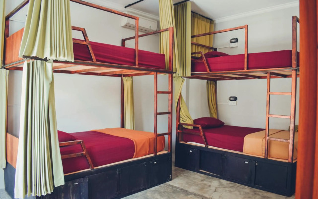 Urban Jungle House Bali