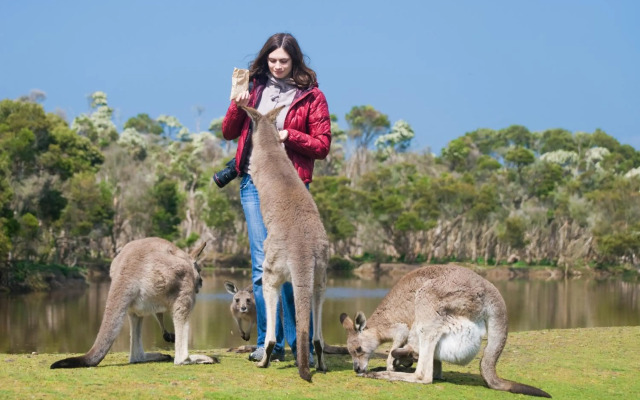 C-Scape water front apartment