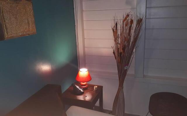 Charmant T3 Climatise Piscine Privee