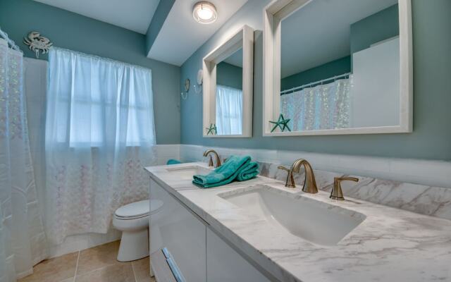 All About The Dolphins - Roelens Vacations
