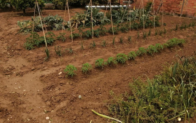 Casa Pepe de L´ullat