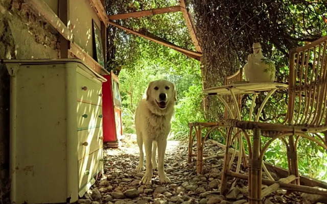 Centro Studi Nuovarmonia