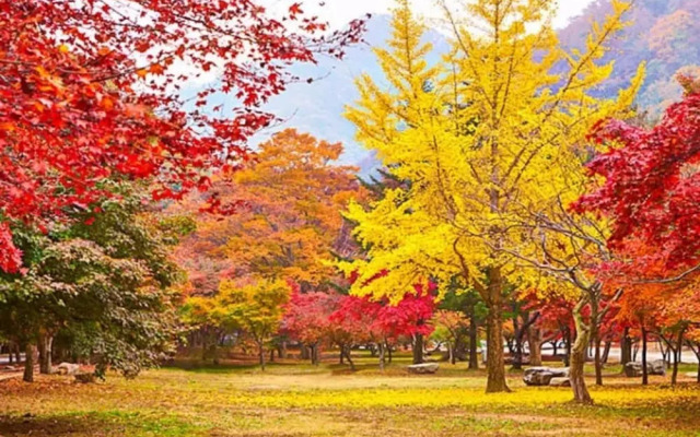 Jeongeup Brahms Pension