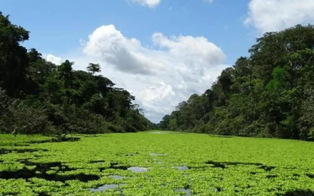 Amazon Wonder Expeditions