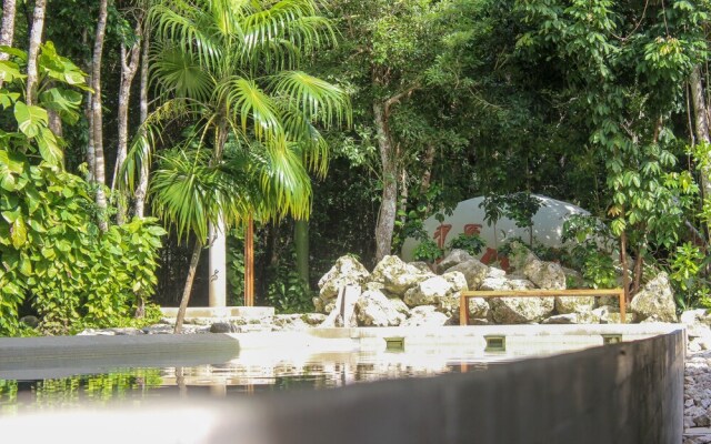 Luxury House Near Akumal Beach by Olahola