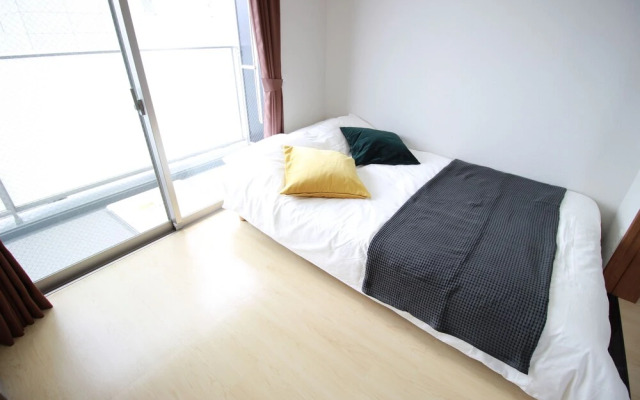 Saint Paulia Osaka Castle