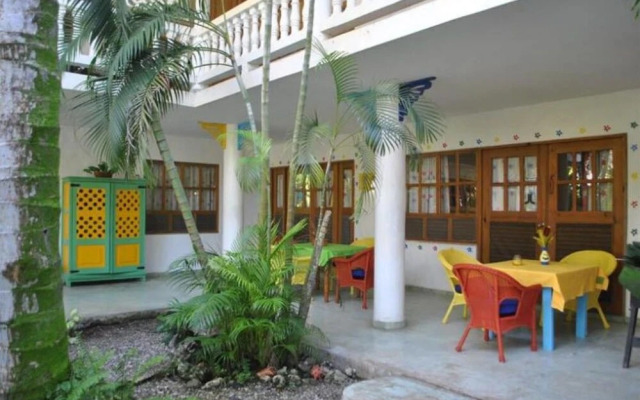 Cabarete Surf Camp