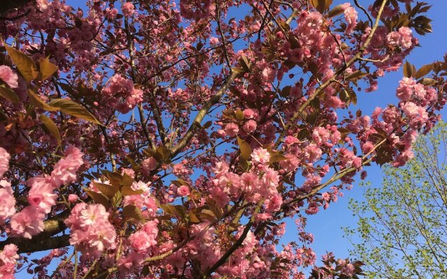 B&B Le Clos Saint-Jean - Omaha Beach