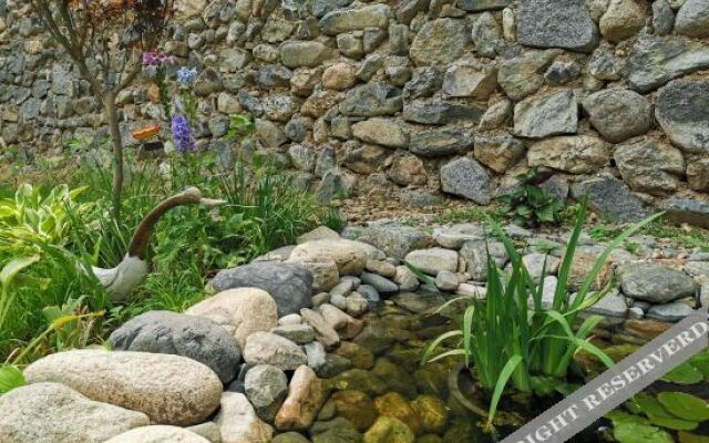 Roseann's Courtyard