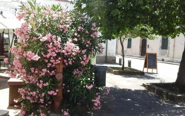 Antica Casa Cristofori