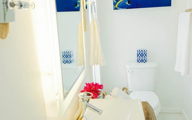 Ocean Front Property - Villa 1 Aruba