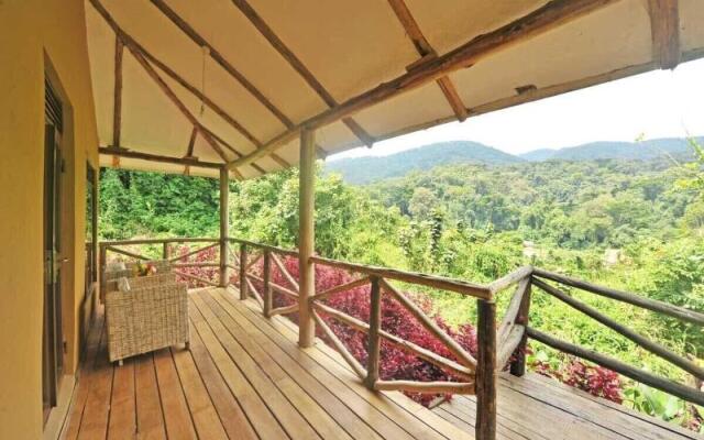 Gorilla Safari Lodge