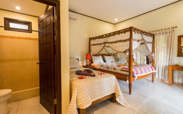 Pazzo Bali