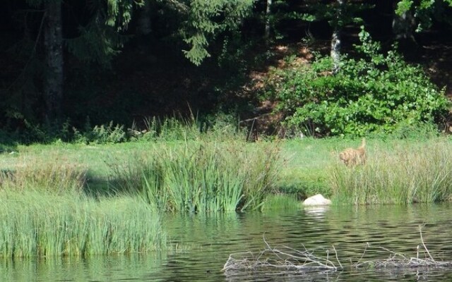 Le Logis de Sèchemailles