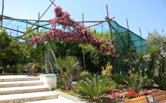 Oasi Madre della Pace