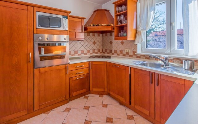 Apartment Alin