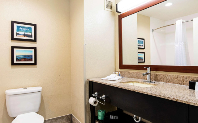 Comfort Inn & Suites Pine Bluff