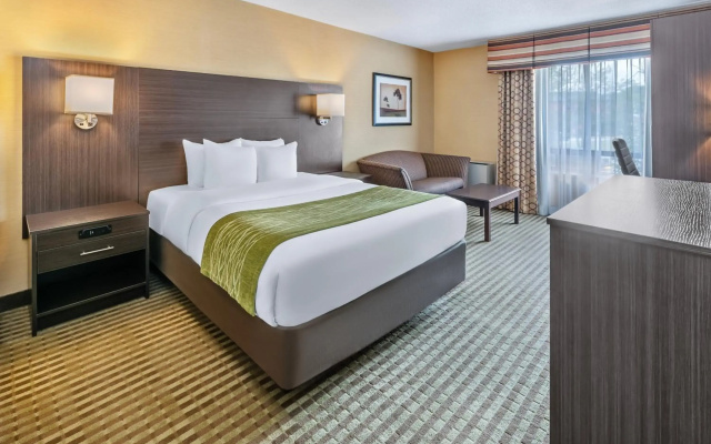 Comfort Inn Chatham