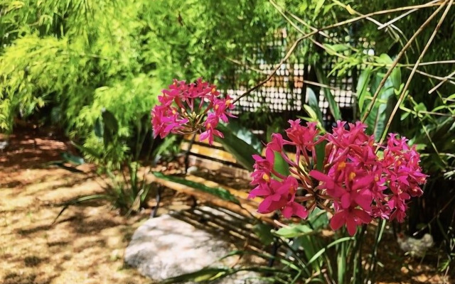 Pousada Pontal do Lago